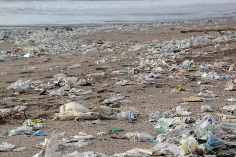 Plastic waste on a beach illustrating ocean plastic pollution problem