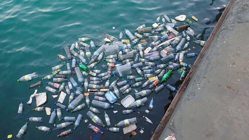 Plastic bottles floating in the ocean near a pier, highlighting how plastic pollution contributes to ocean acidification and threatens marine ecosystems.